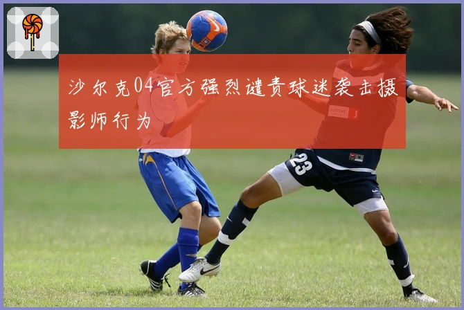 沙尔克04官方强烈谴责球迷袭击摄影师行为
