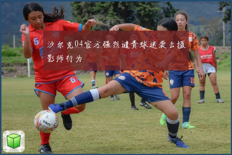 沙尔克04官方强烈谴责球迷袭击摄影师行为